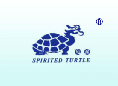 龟派 SPIRITED TURTLE