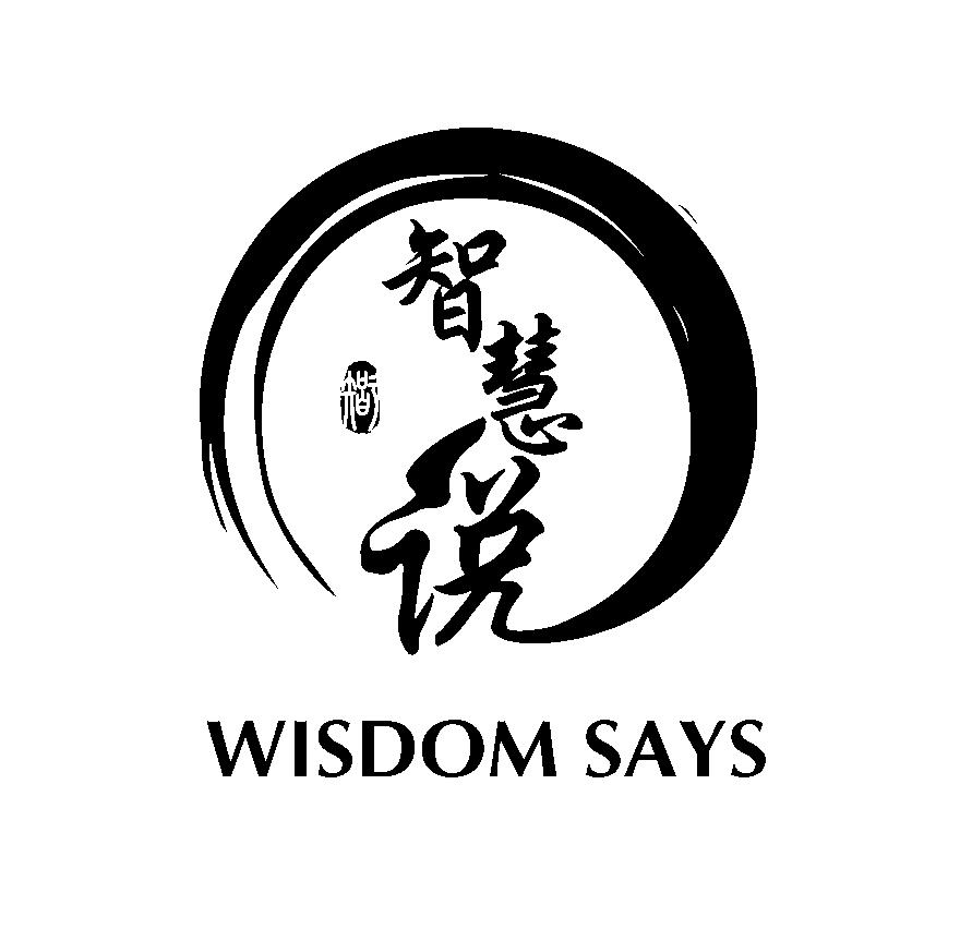 智 智慧说WISDOMSAYS
