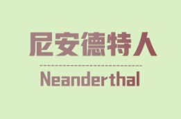 尼安德特人 Neanderthal