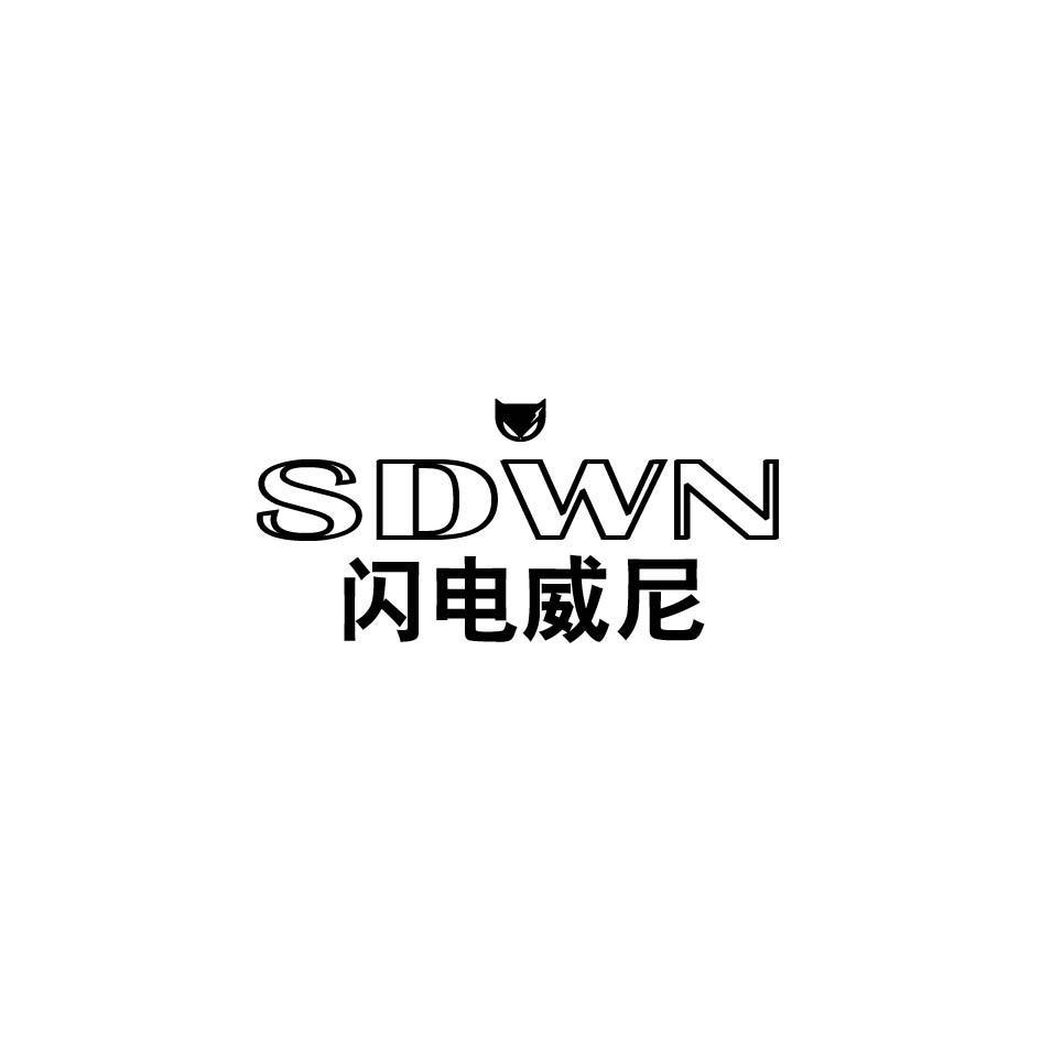 图形 SDWN 闪电威尼